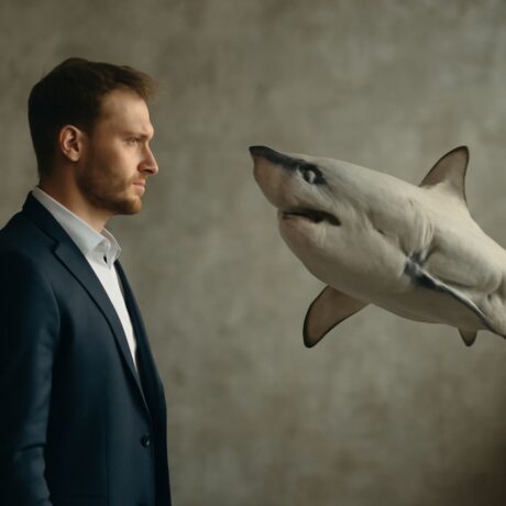 Image of a shark with an inspirational quote.