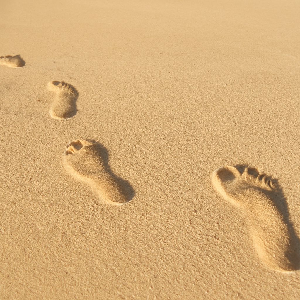 A collection of thought-provoking quotes
